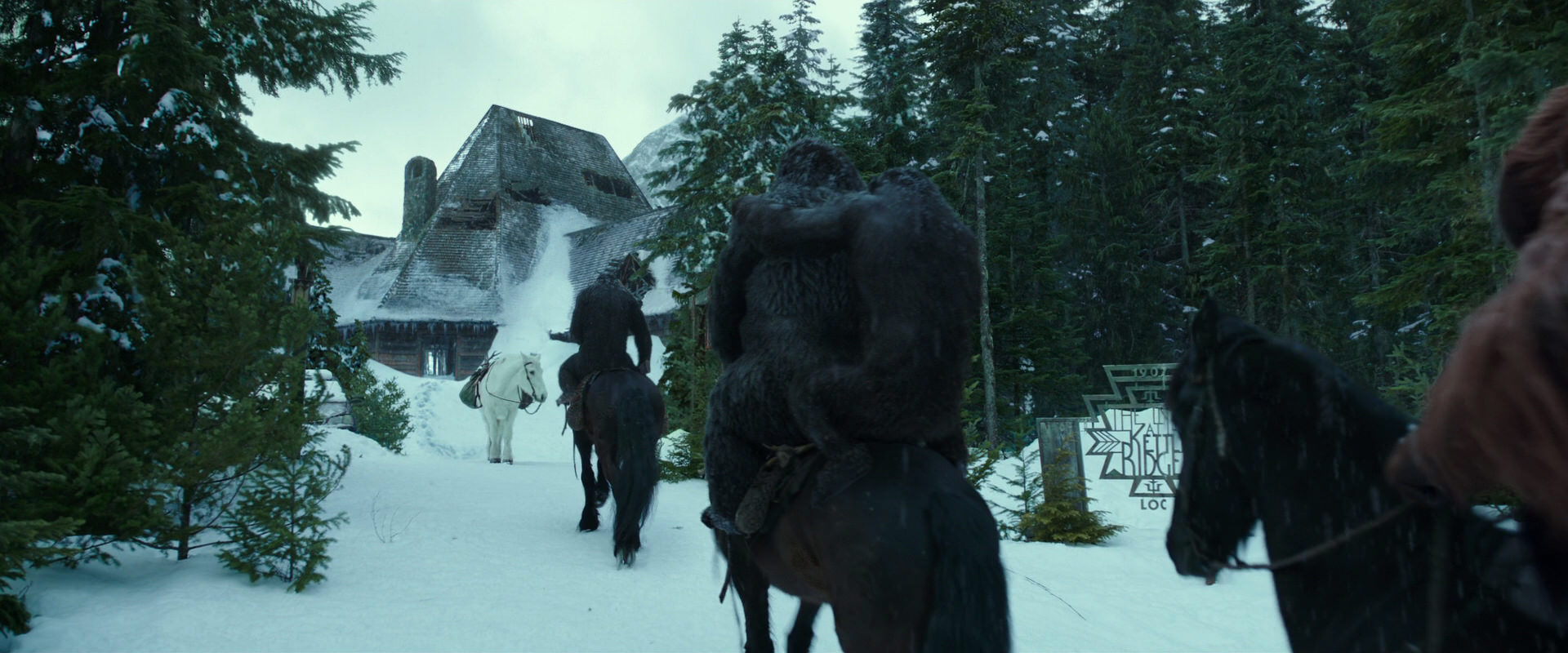 War for the Planet of the Apes (2017) movie still 5146