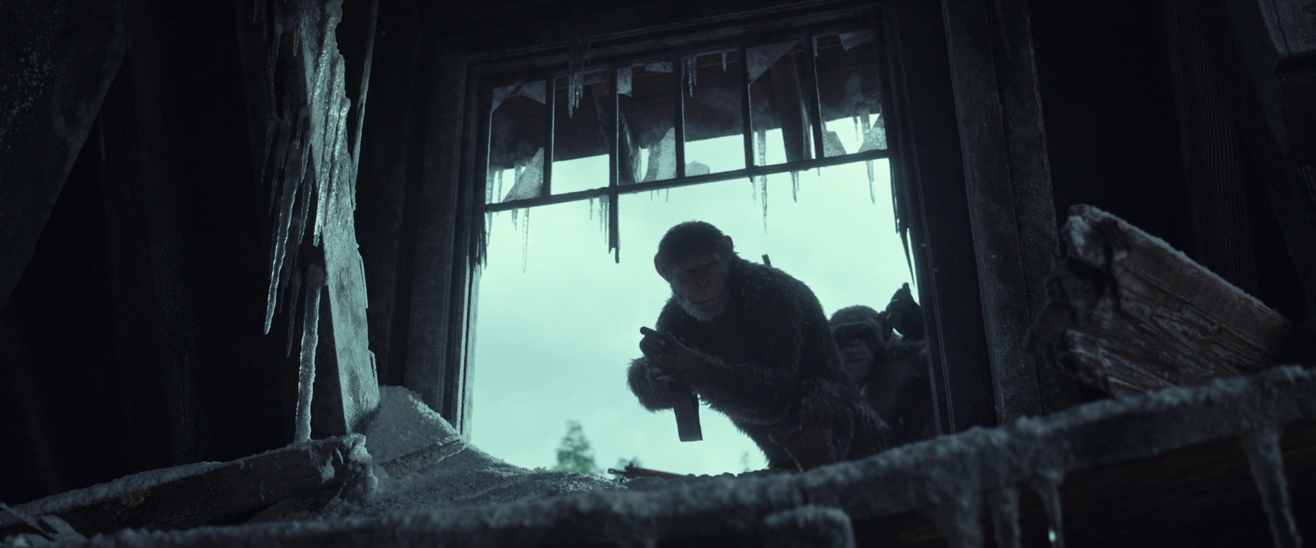 War for the Planet of the Apes (2017) movie still 5152