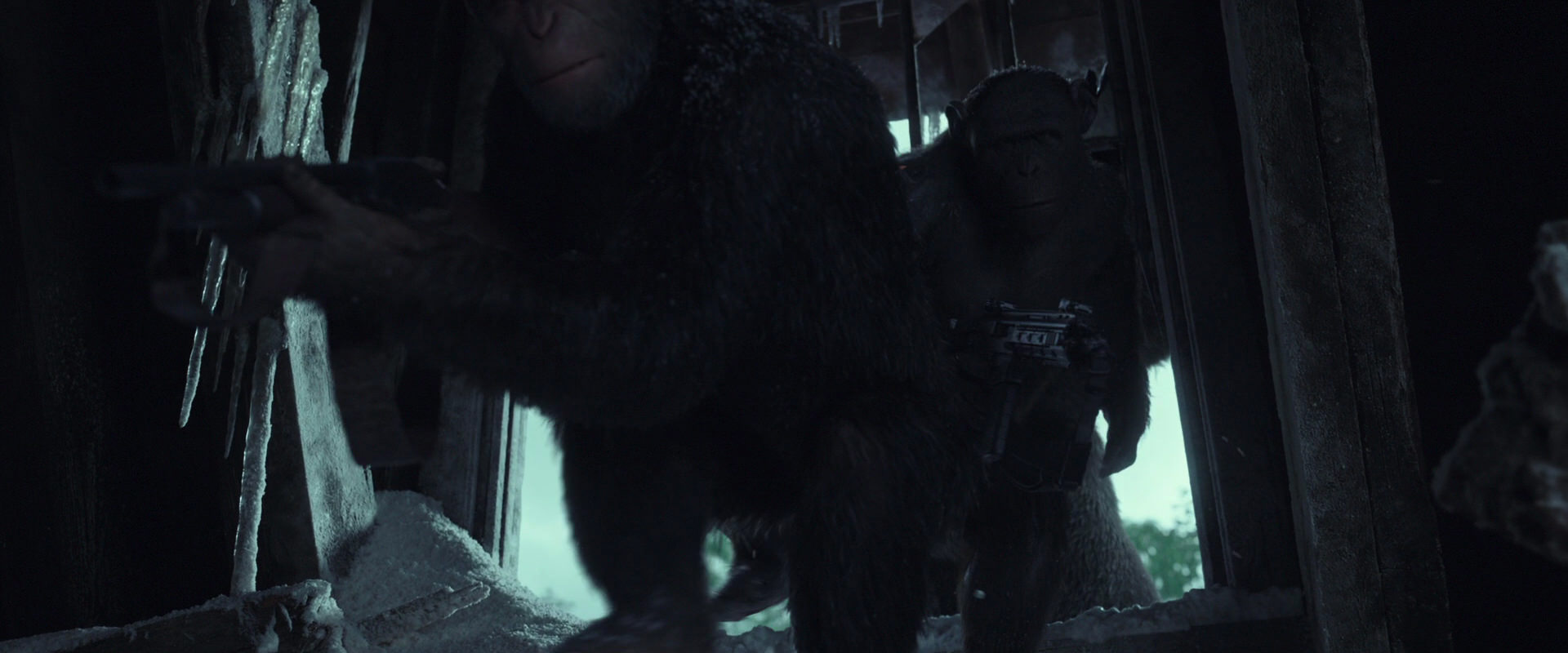 War for the Planet of the Apes (2017) movie still 5161