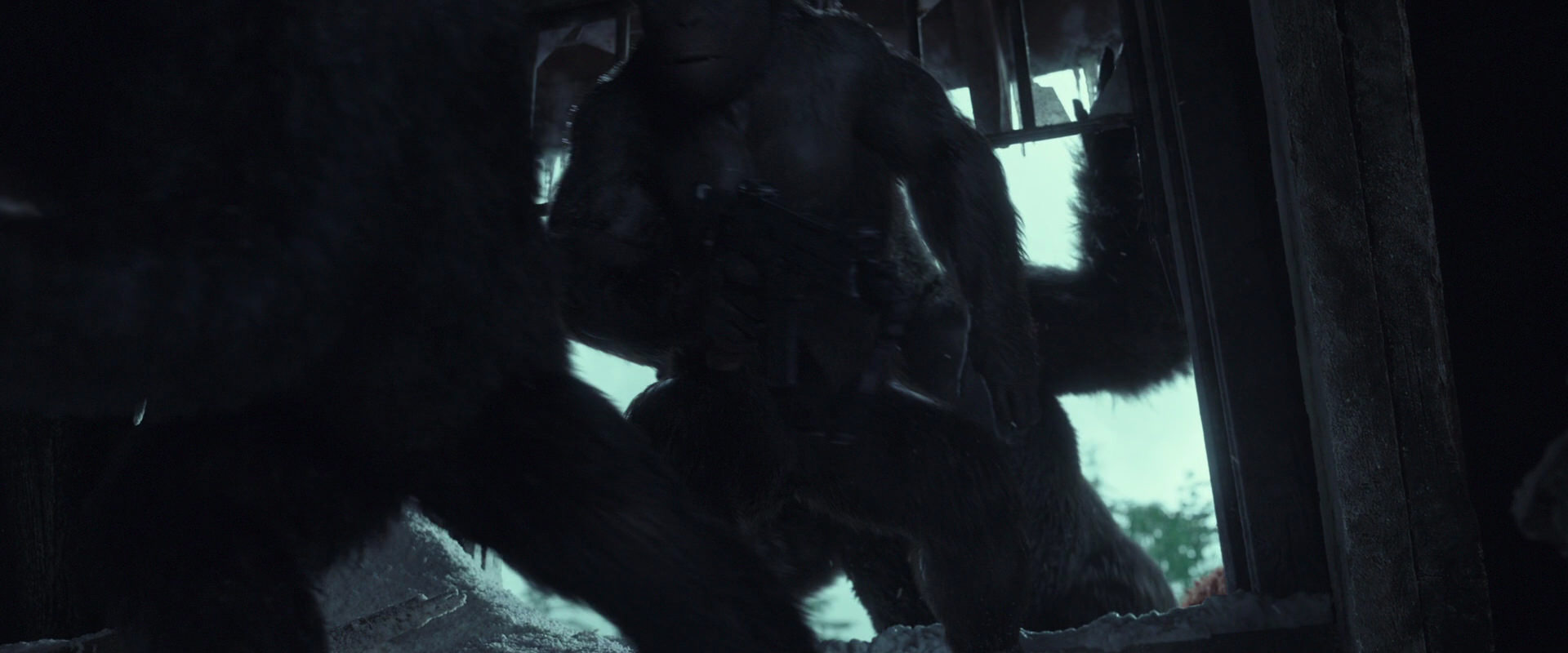 War for the Planet of the Apes (2017) screencap 5163