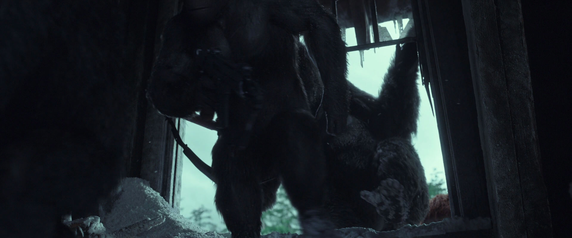 War for the Planet of the Apes (2017) movie still 5164