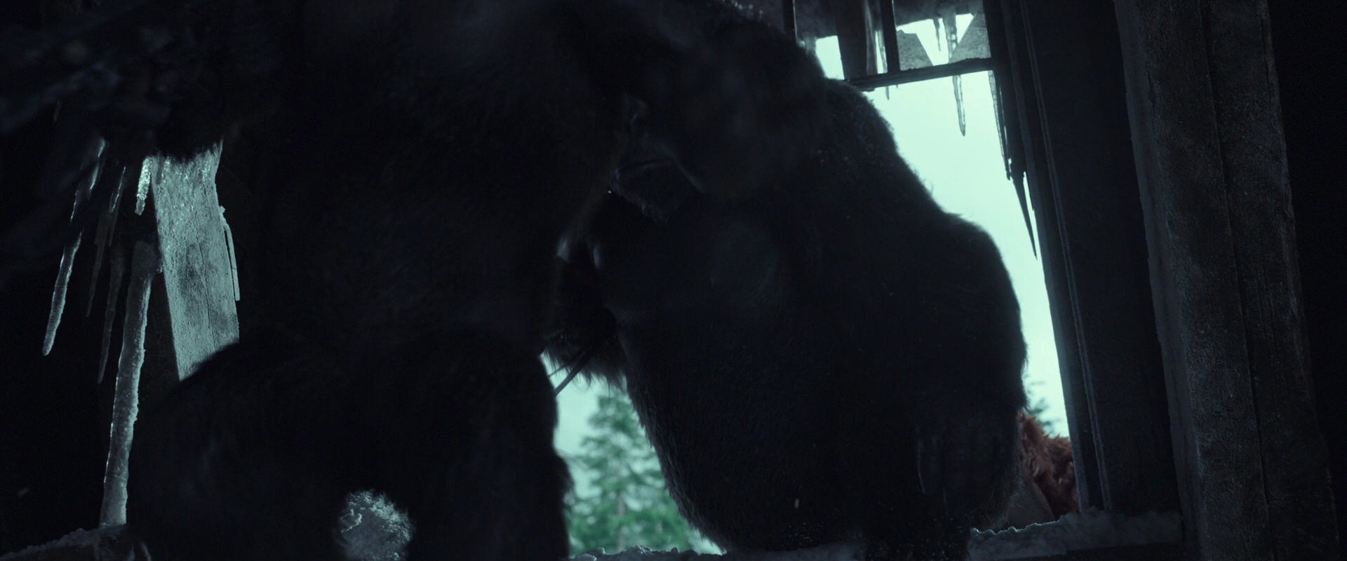War for the Planet of the Apes (2017) screencap 5166