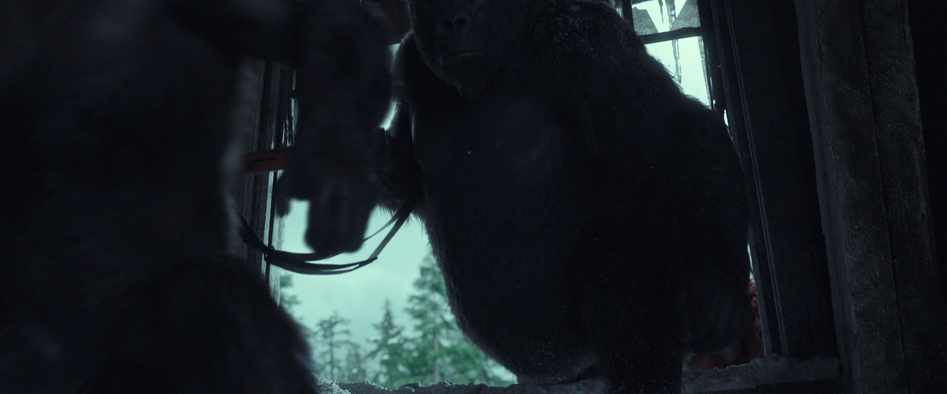 War for the Planet of the Apes (2017) movie still 5167