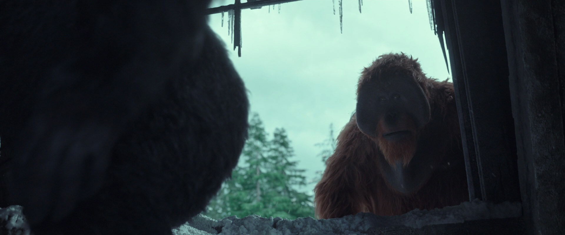 War for the Planet of the Apes (2017) HD screenshot 5171