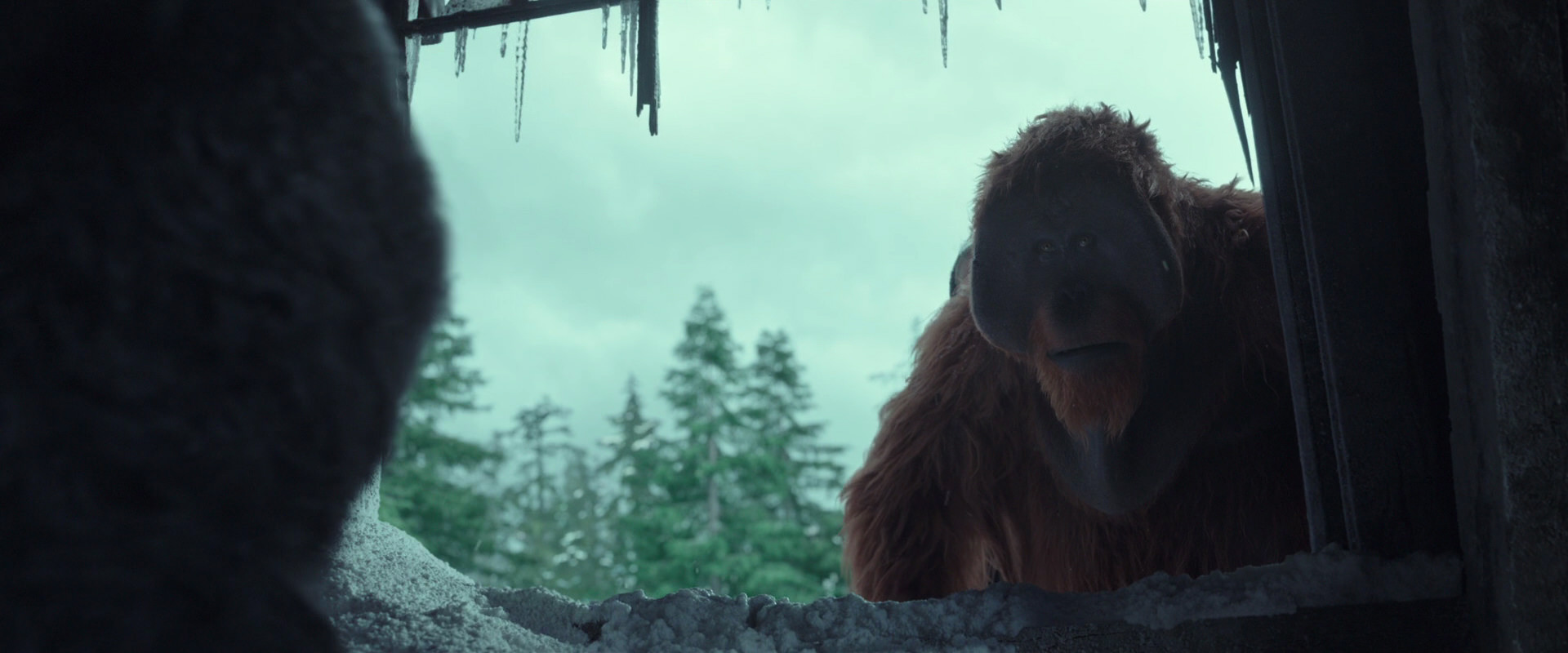 War for the Planet of the Apes (2017) screencap 5172