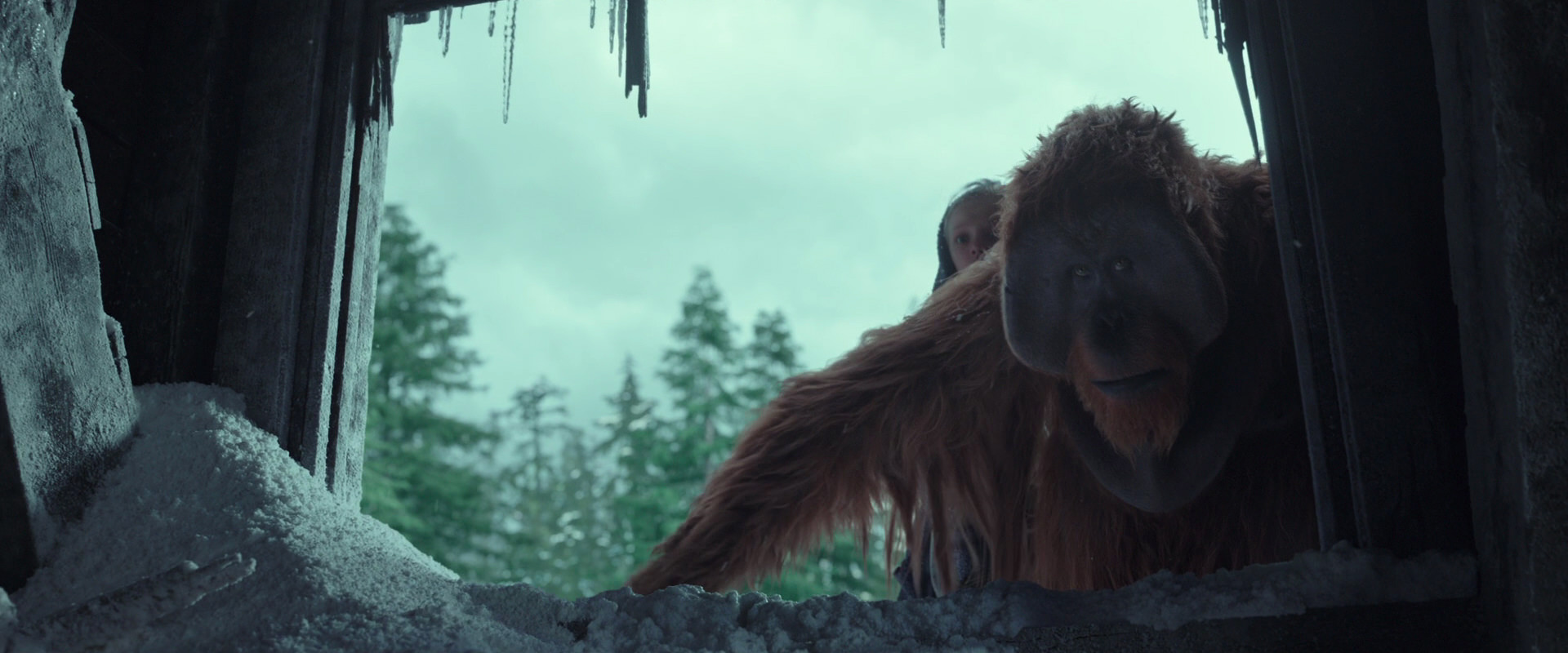 War for the Planet of the Apes (2017) movie still 5173