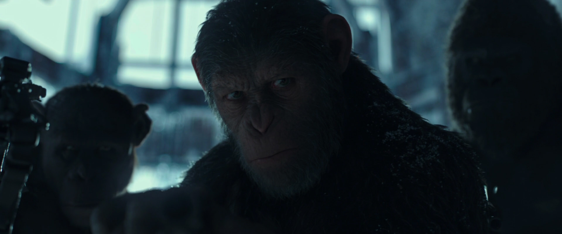War for the Planet of the Apes (2017) screencap 5268