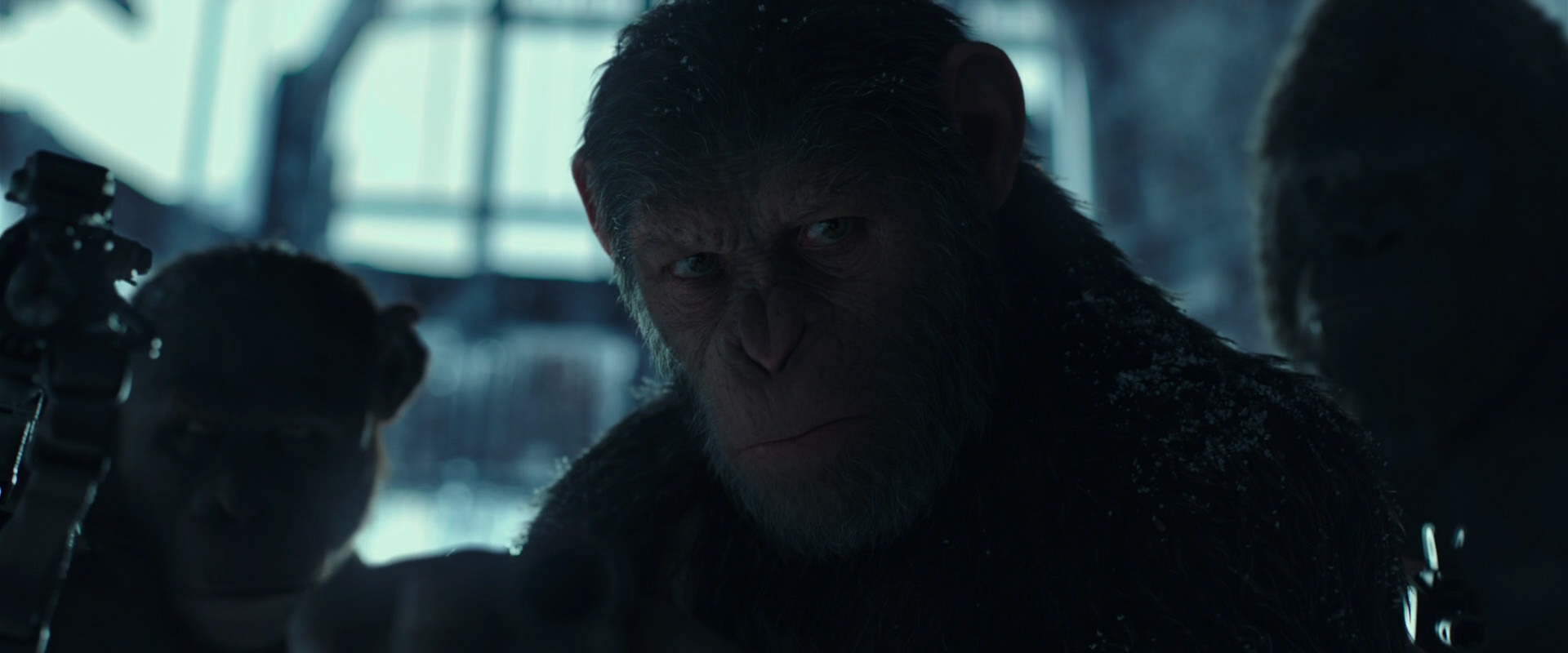 War for the Planet of the Apes (2017) movie still 5269