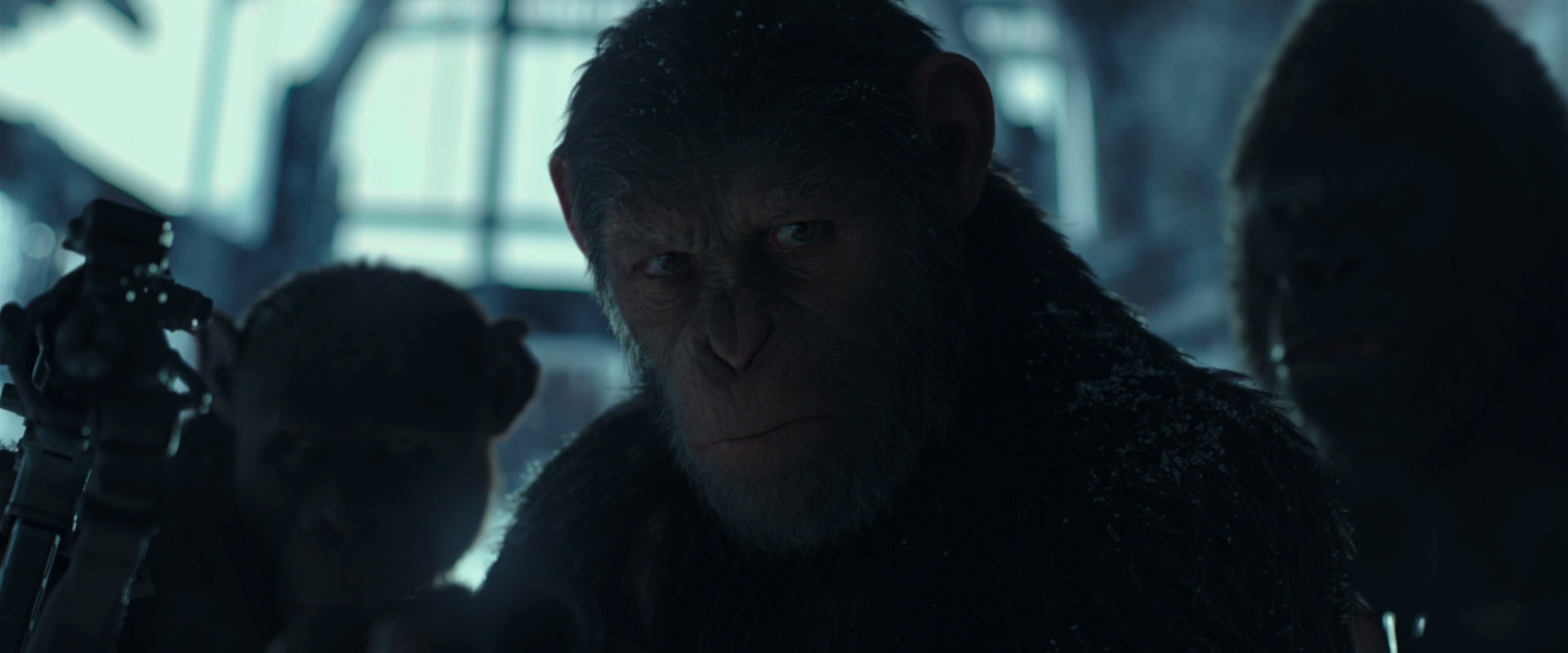 War for the Planet of the Apes (2017) HD screenshot 5270