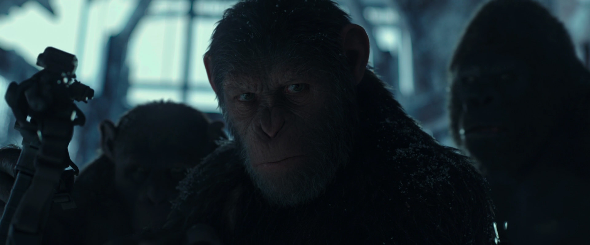 War for the Planet of the Apes (2017) screencap 5271
