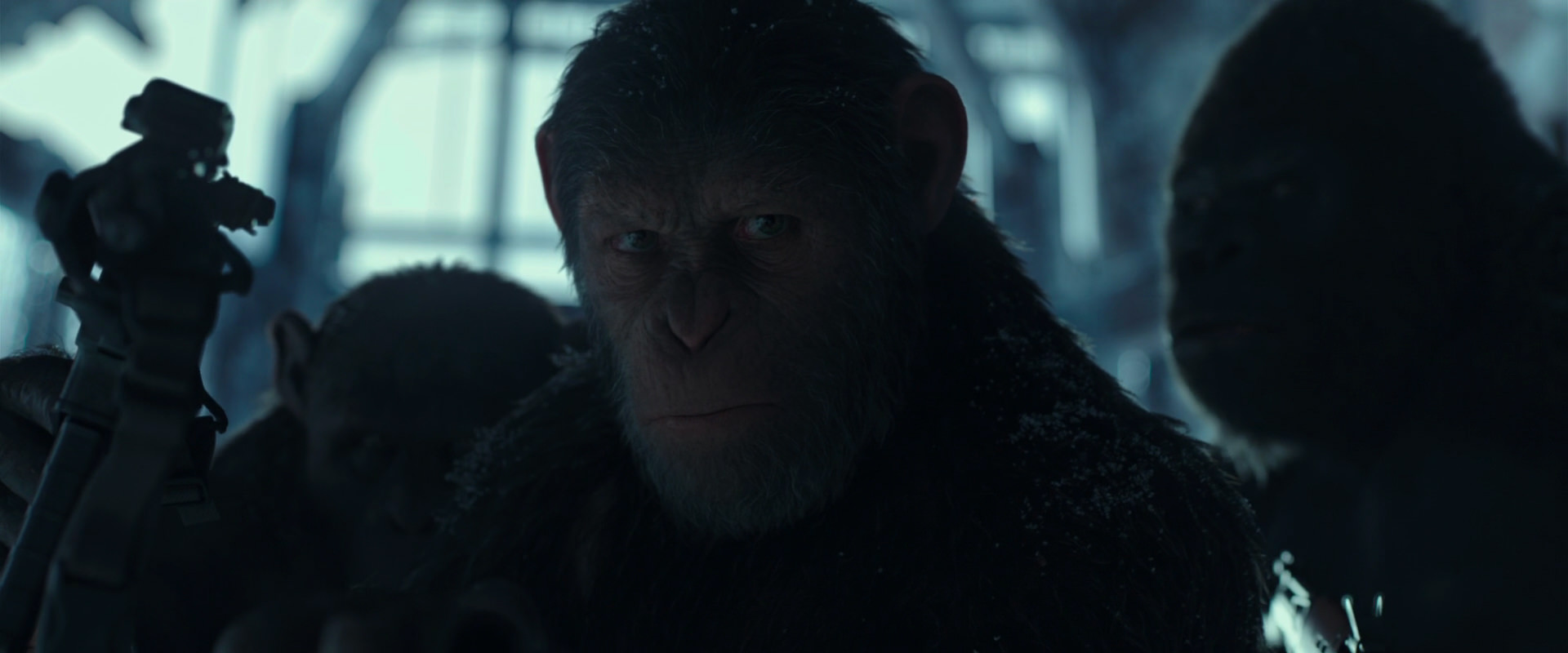 War for the Planet of the Apes (2017) movie still 5272