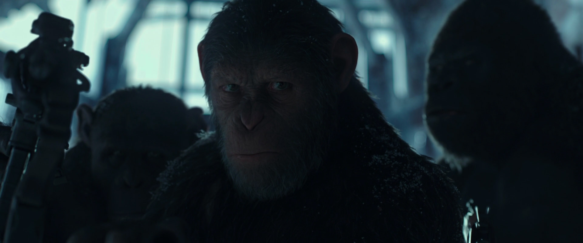 War for the Planet of the Apes (2017) HD screenshot 5273