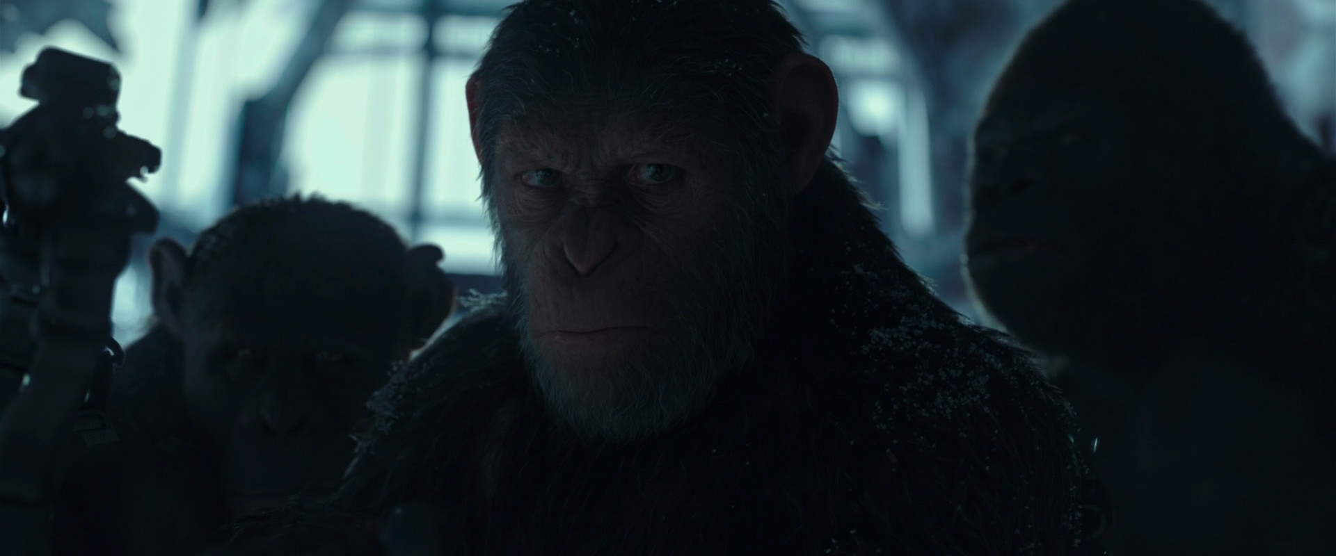 War for the Planet of the Apes (2017) screencap 5274
