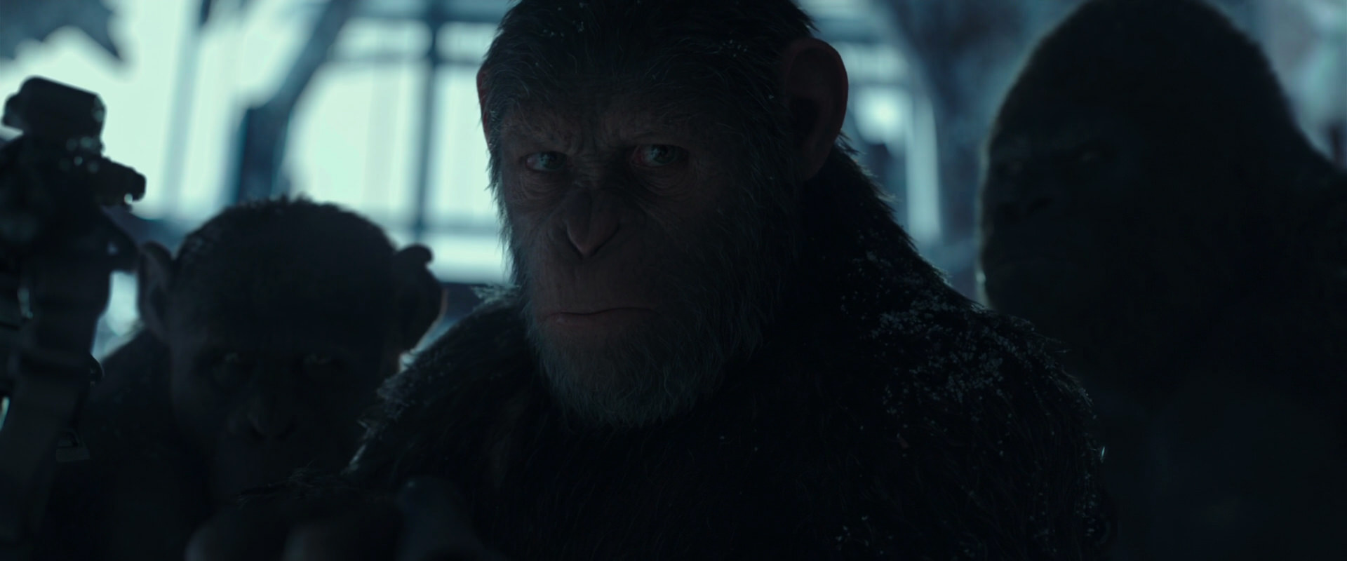 War for the Planet of the Apes (2017) movie still 5275