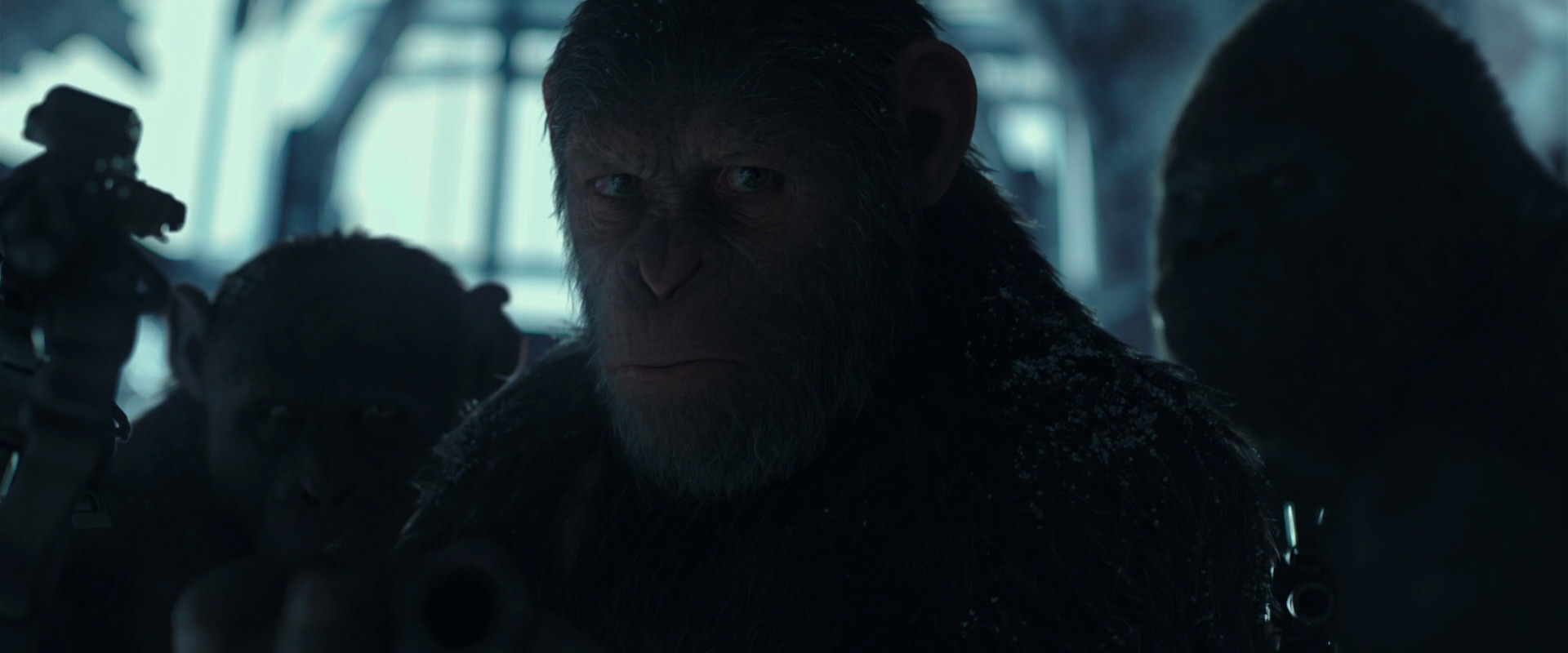 War for the Planet of the Apes (2017) HD screenshot 5276