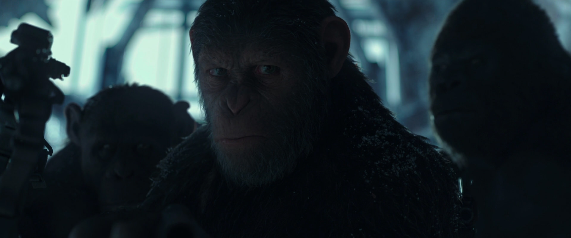 War for the Planet of the Apes (2017) screencap 5277