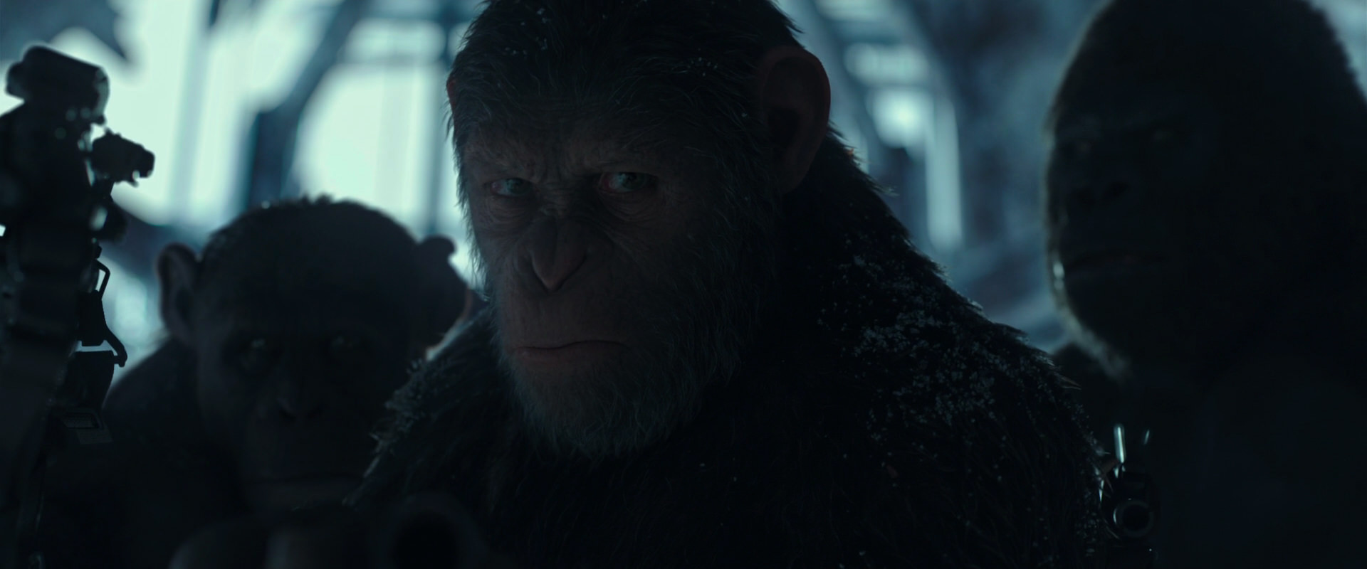 War for the Planet of the Apes (2017) movie still 5278