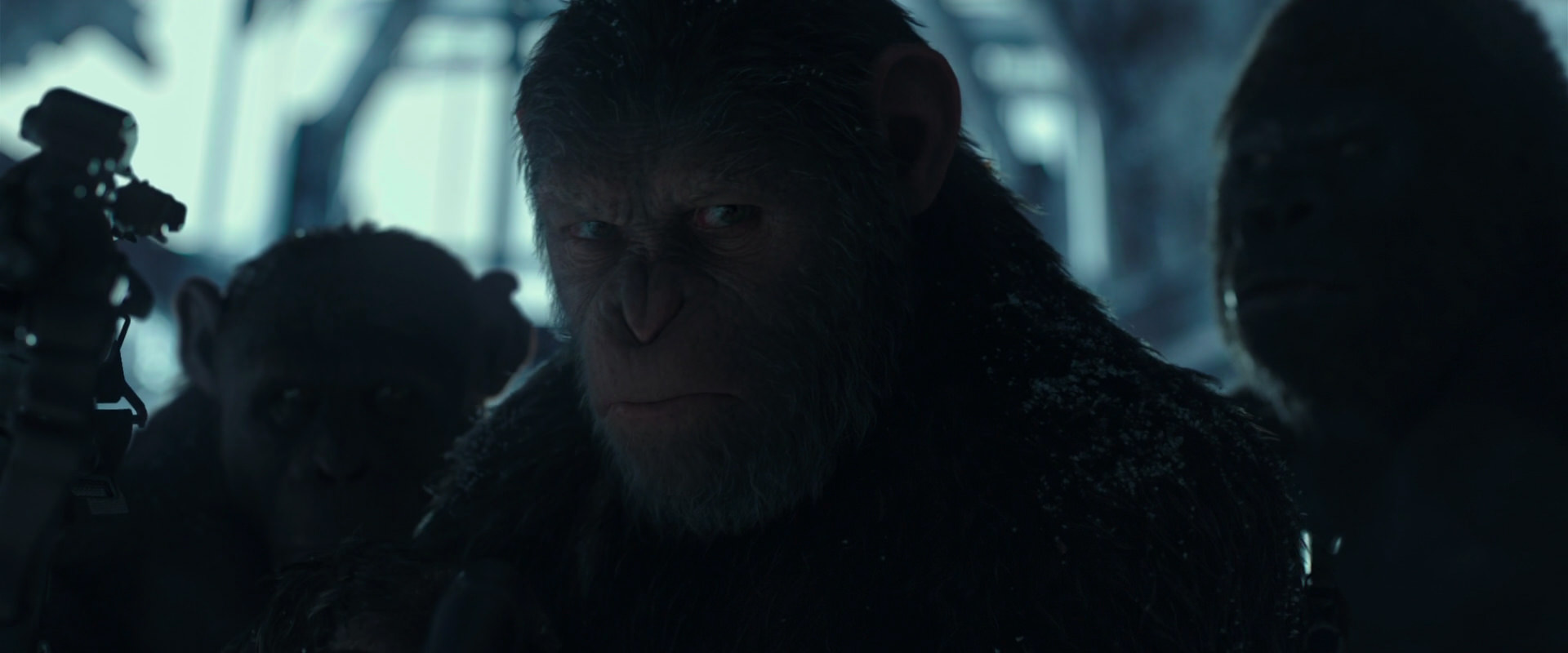 War for the Planet of the Apes (2017) screencap 5280