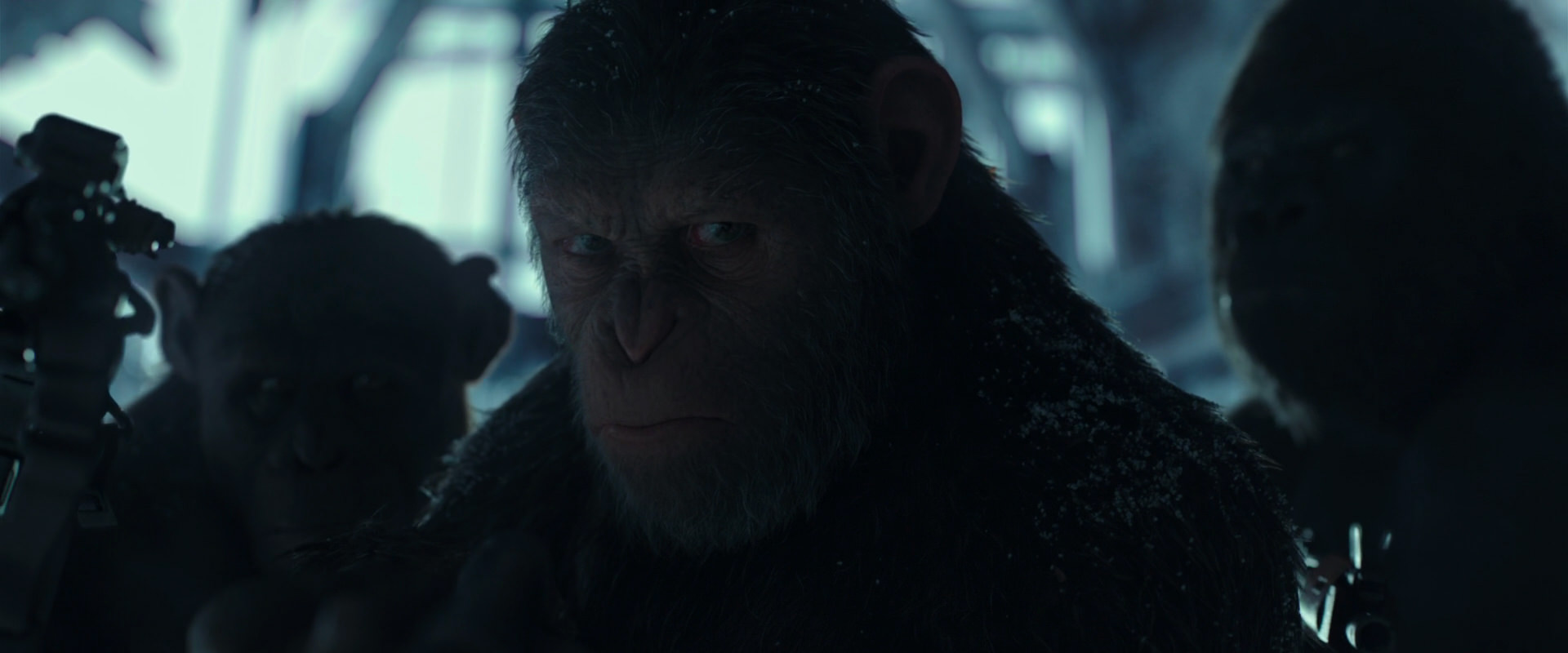 War for the Planet of the Apes (2017) movie still 5281