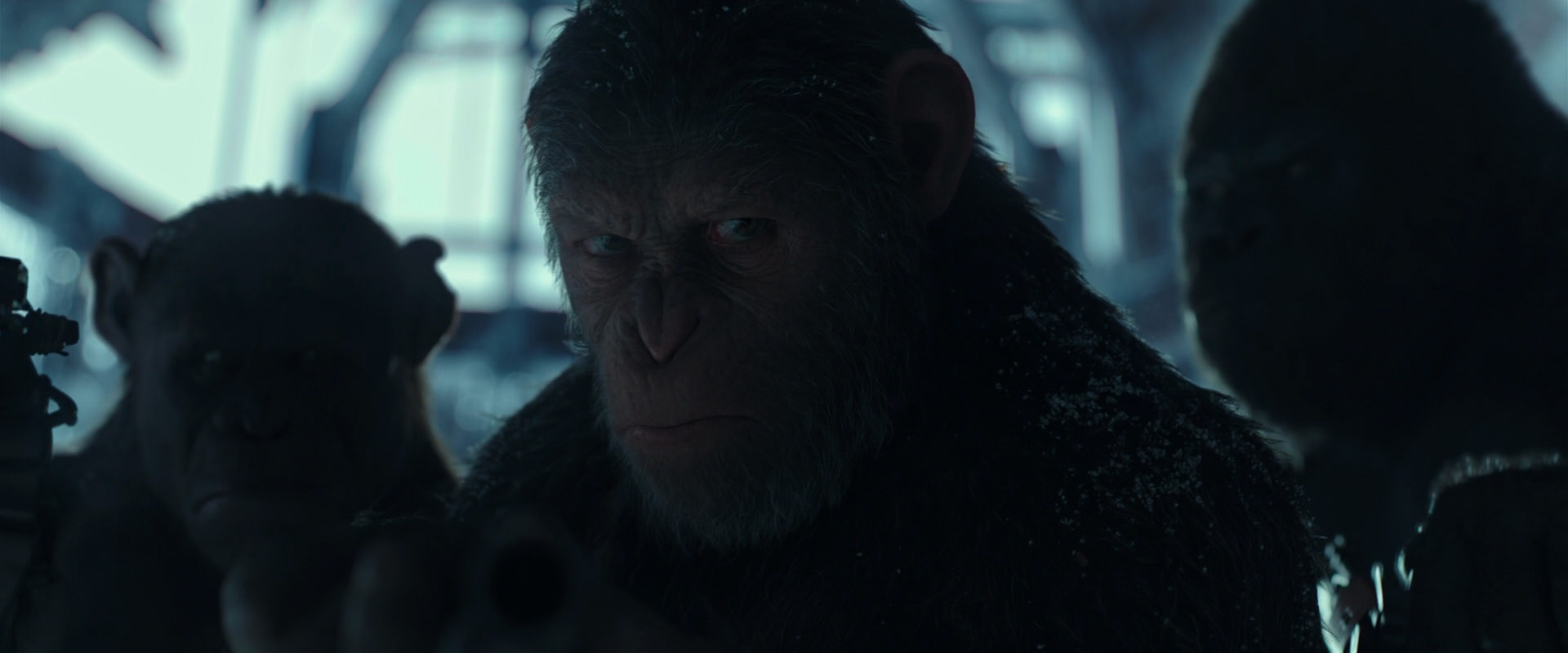 War for the Planet of the Apes (2017) HD screenshot 5282