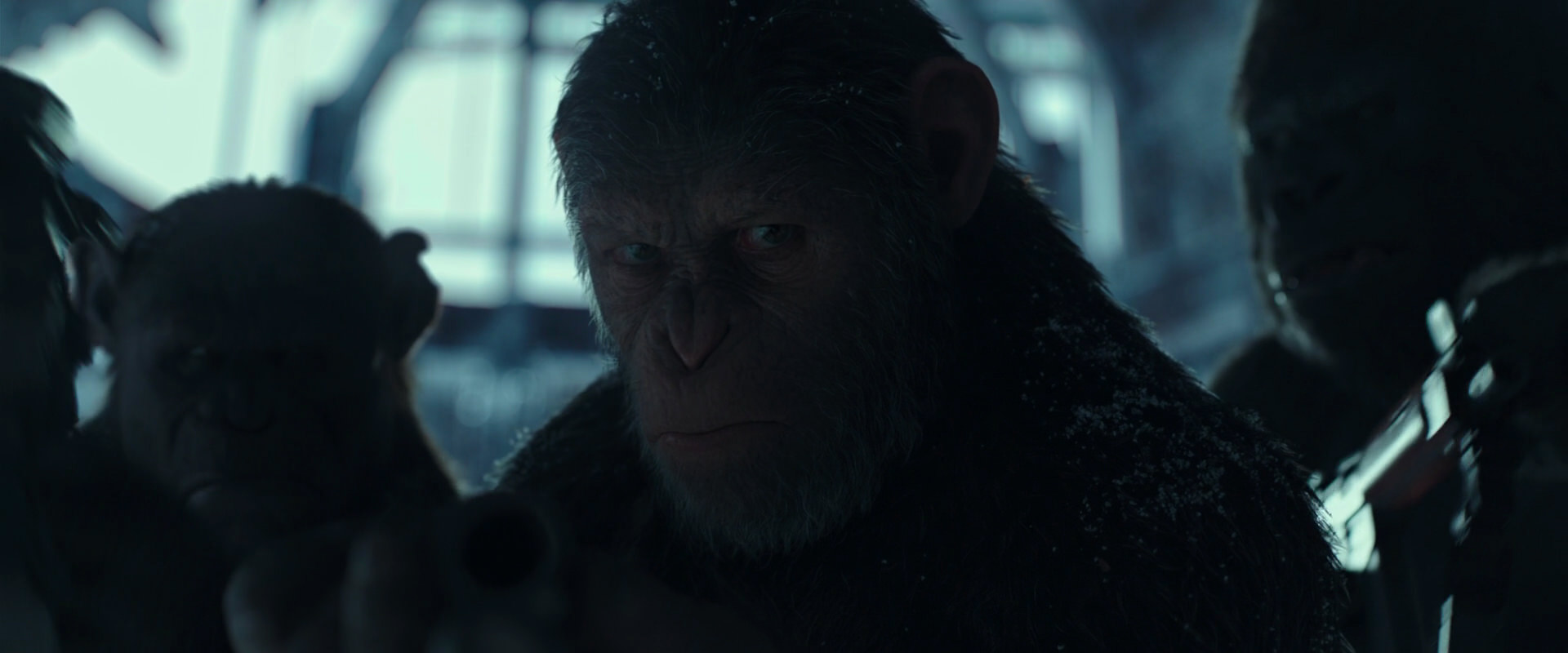 War for the Planet of the Apes (2017) screencap 5283