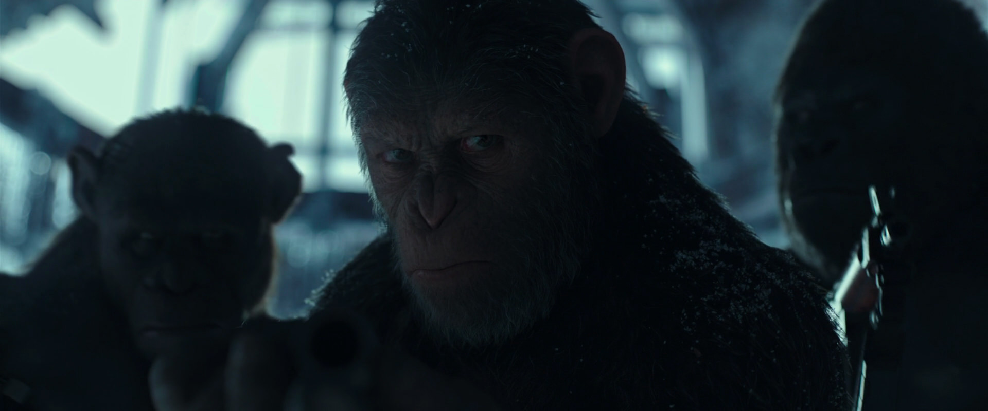 War for the Planet of the Apes (2017) movie still 5284