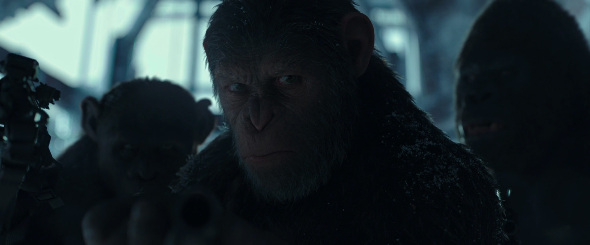 War for the Planet of the Apes (2017) screencap 5286