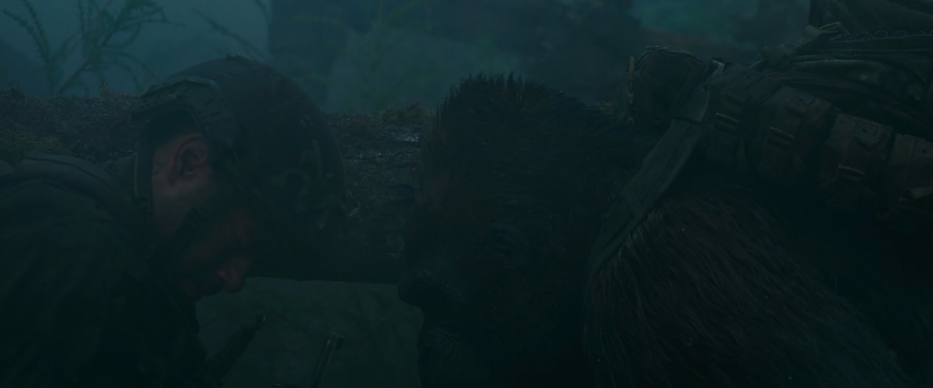 War for the Planet of the Apes (2017) movie still 529
