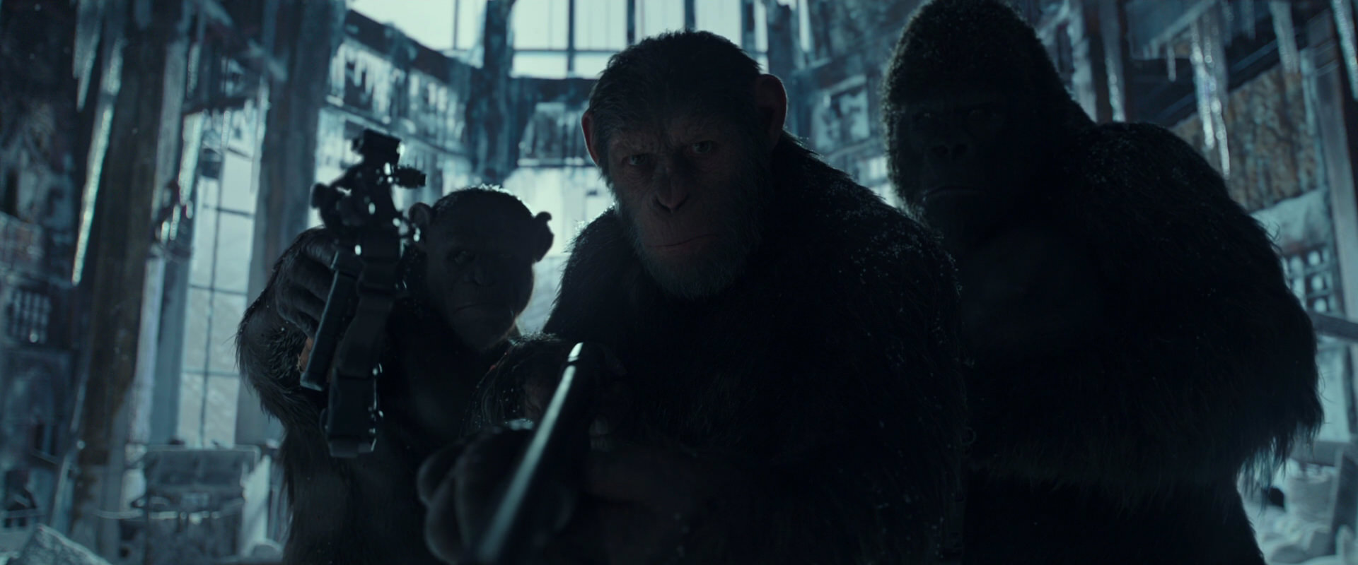 War for the Planet of the Apes (2017) movie still 5305