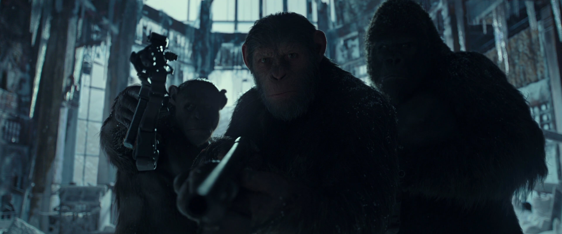 War for the Planet of the Apes (2017) screencap 5307
