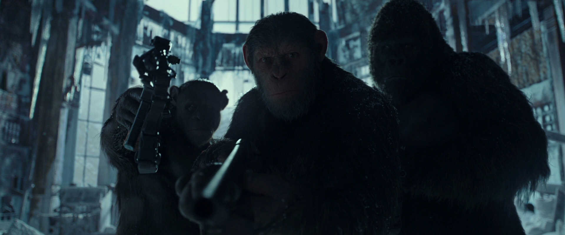 War for the Planet of the Apes (2017) movie still 5308