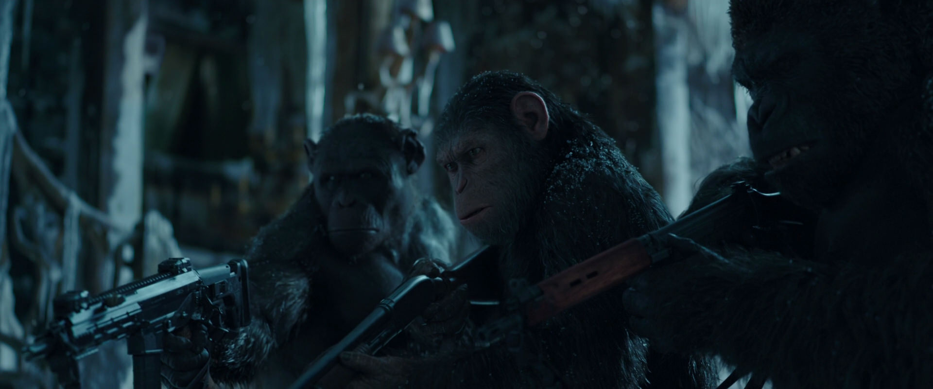 War for the Planet of the Apes (2017) screencap 5313