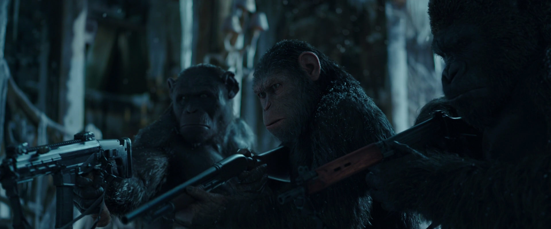 War for the Planet of the Apes (2017) movie still 5314