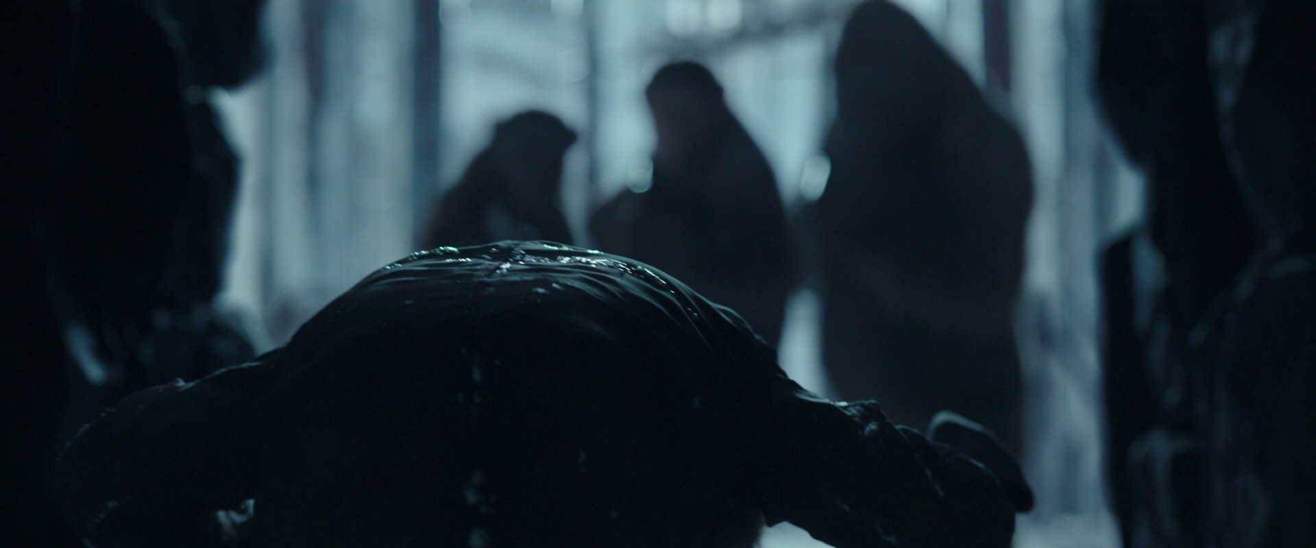 War for the Planet of the Apes (2017) movie still 5326