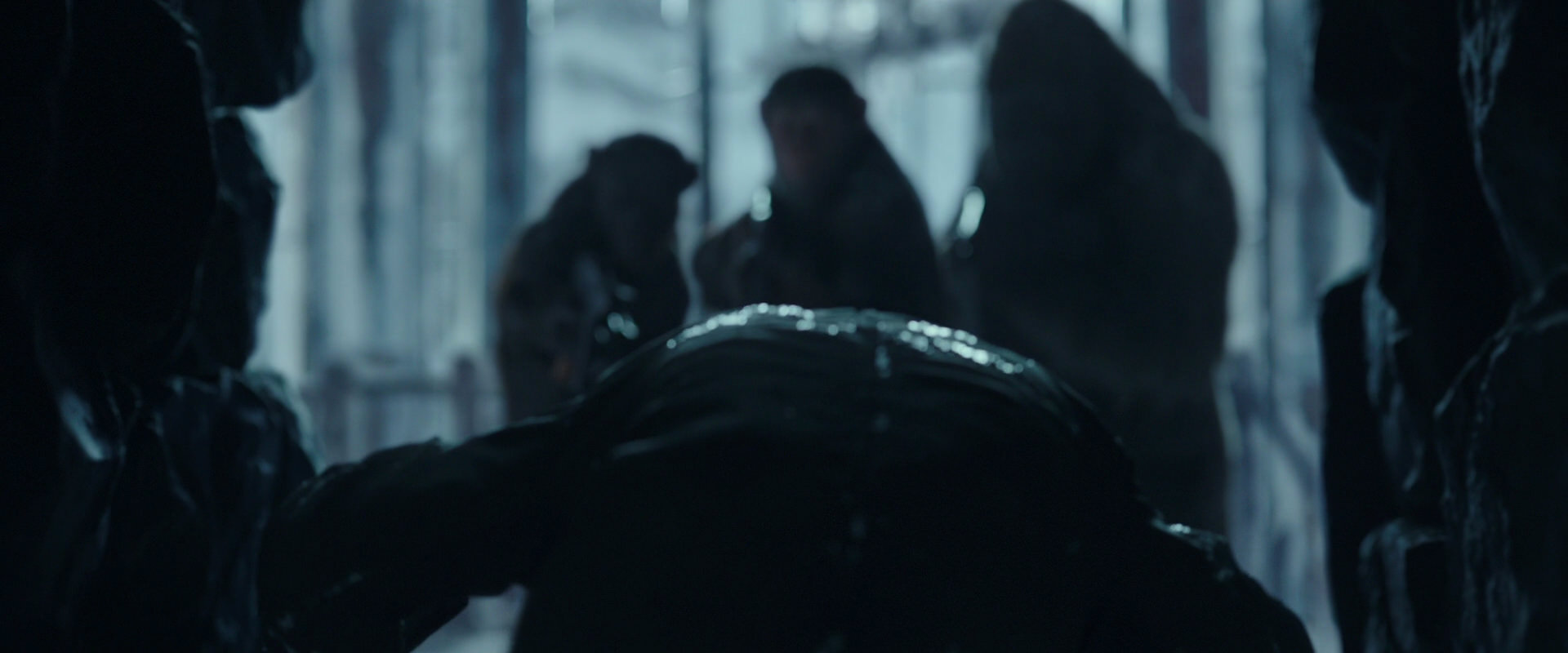 War for the Planet of the Apes (2017) screencap 5328