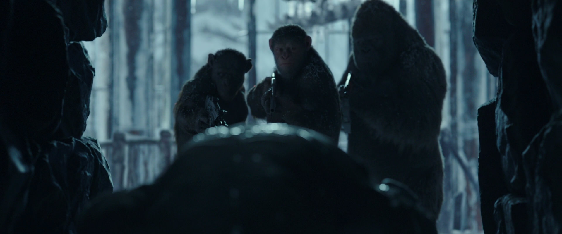 War for the Planet of the Apes (2017) screencap 5331