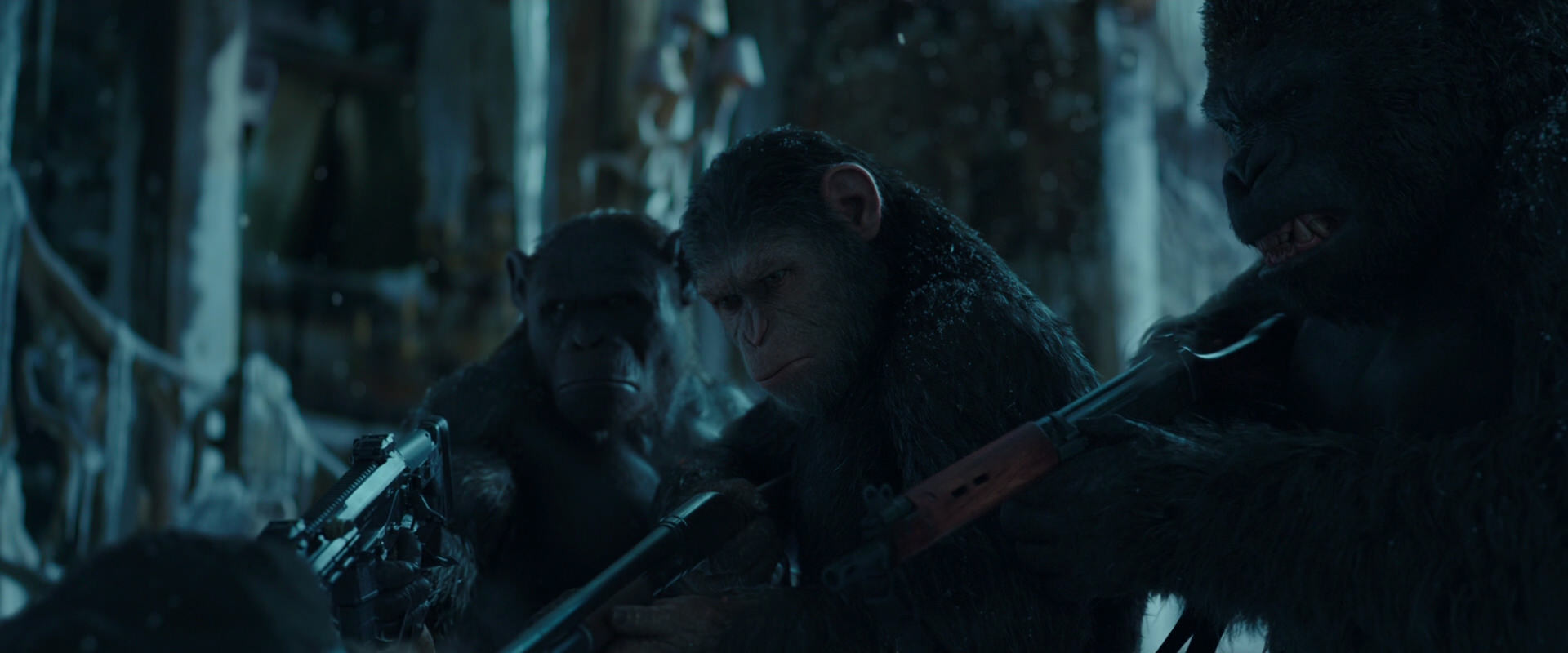War for the Planet of the Apes (2017) screencap 5343