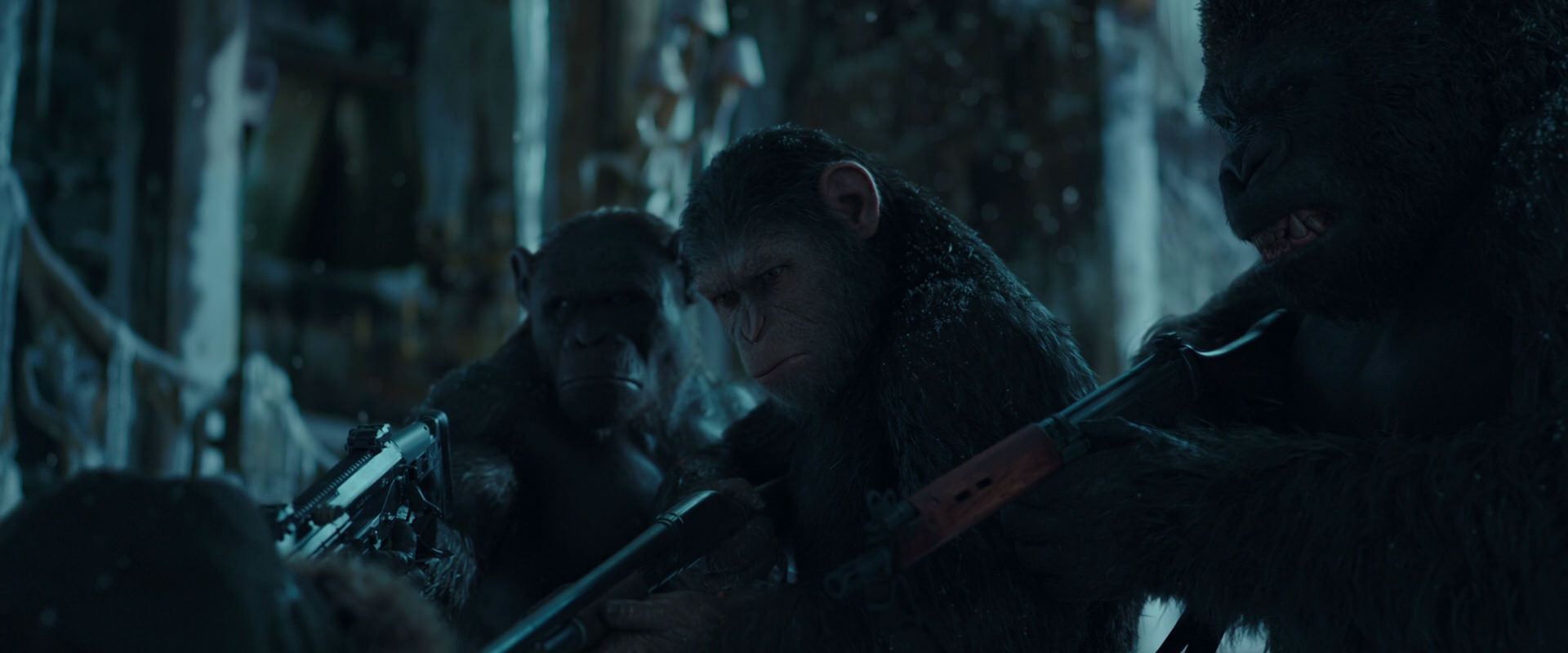 War for the Planet of the Apes (2017) movie still 5344