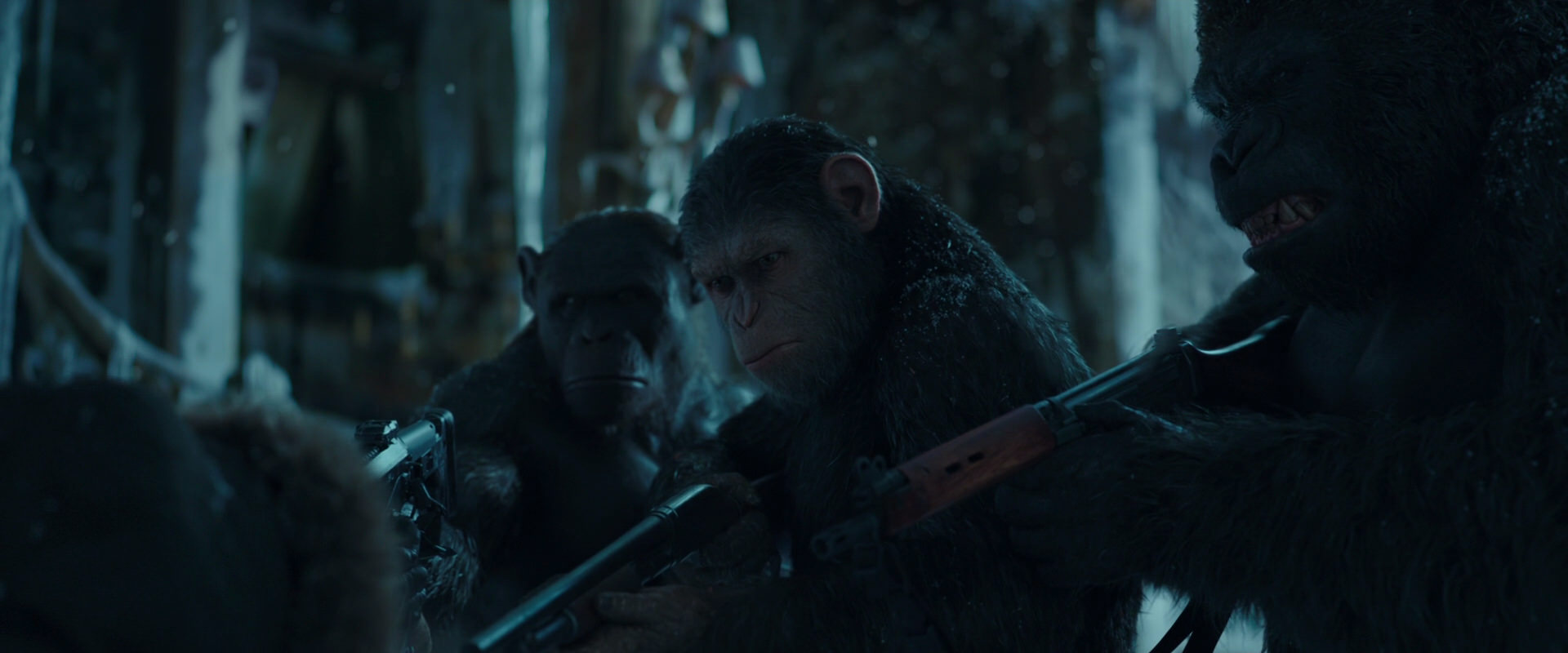 War for the Planet of the Apes (2017) screencap 5346