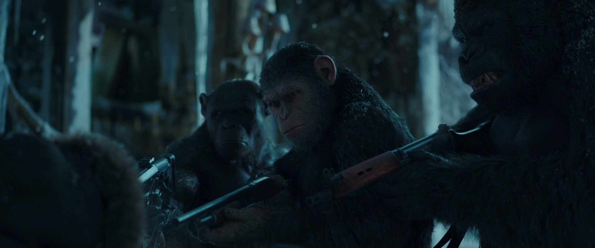 War for the Planet of the Apes (2017) movie still 5347