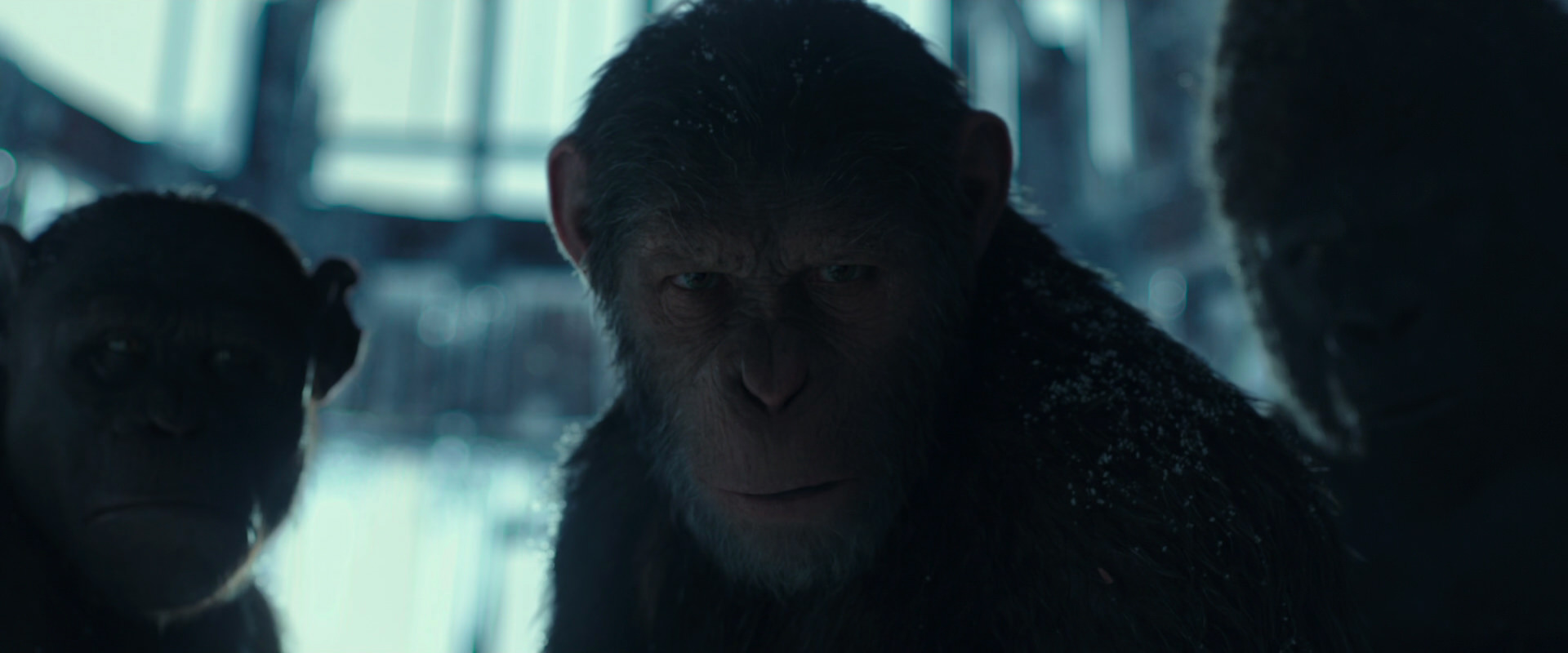 War for the Planet of the Apes (2017) HD screenshot 5366