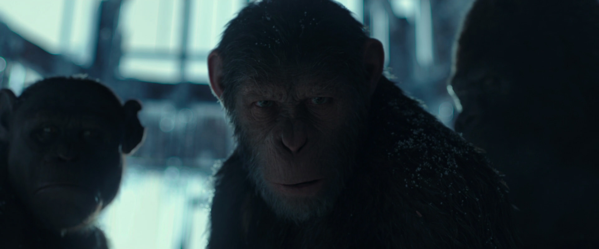 War for the Planet of the Apes (2017) screencap 5367