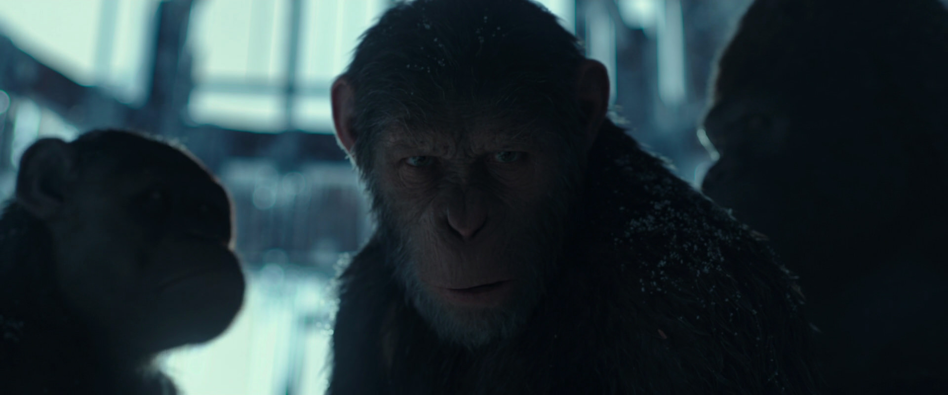 War for the Planet of the Apes (2017) movie still 5368