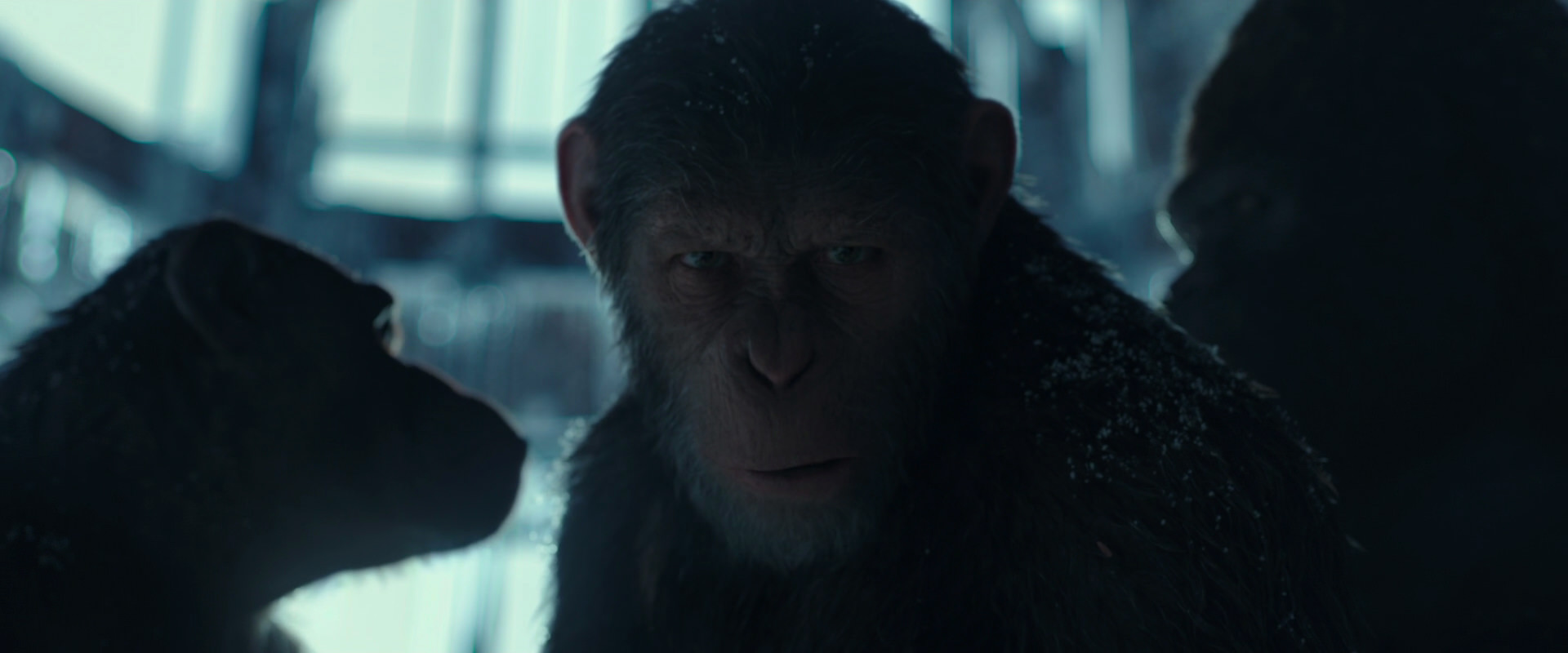 War for the Planet of the Apes (2017) HD screenshot 5369