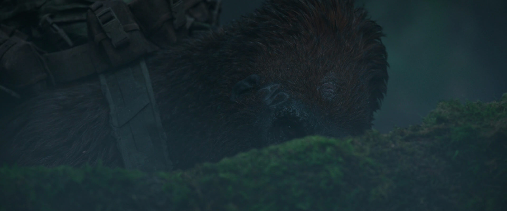 War for the Planet of the Apes (2017) screencap 537