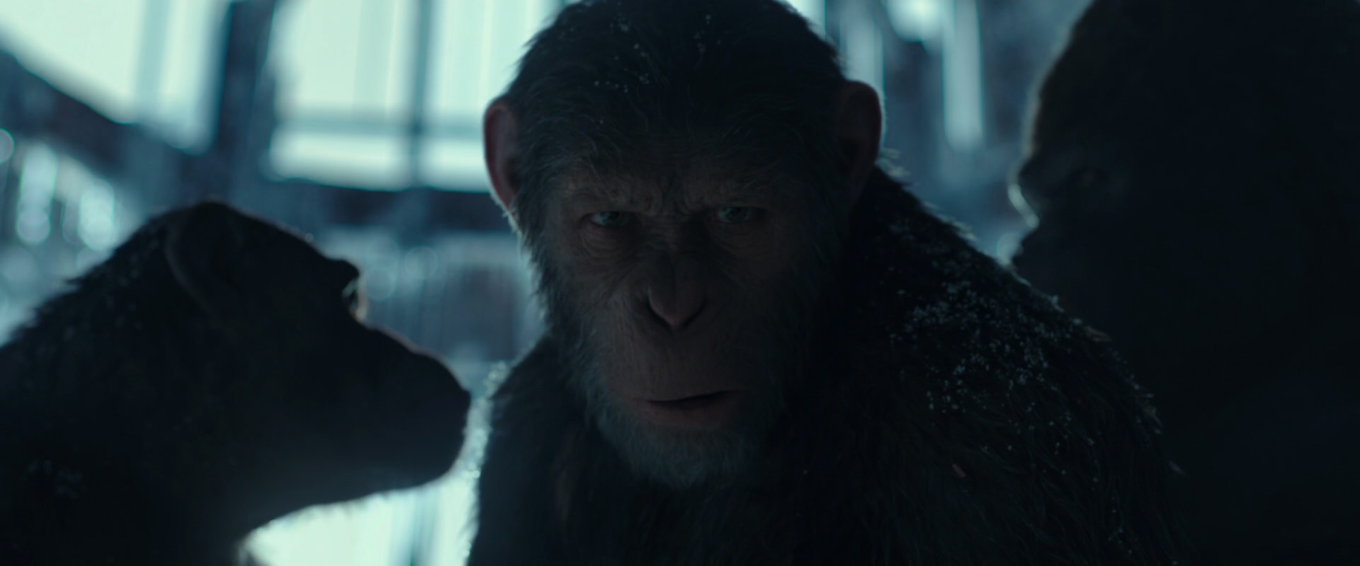 War for the Planet of the Apes (2017) screencap 5370
