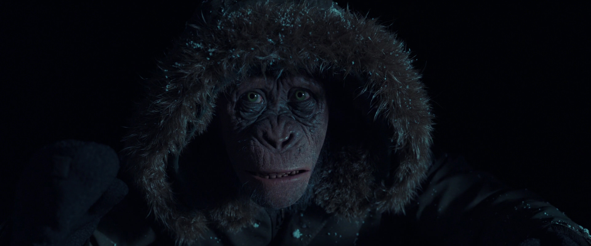 War for the Planet of the Apes (2017) screencap 5373