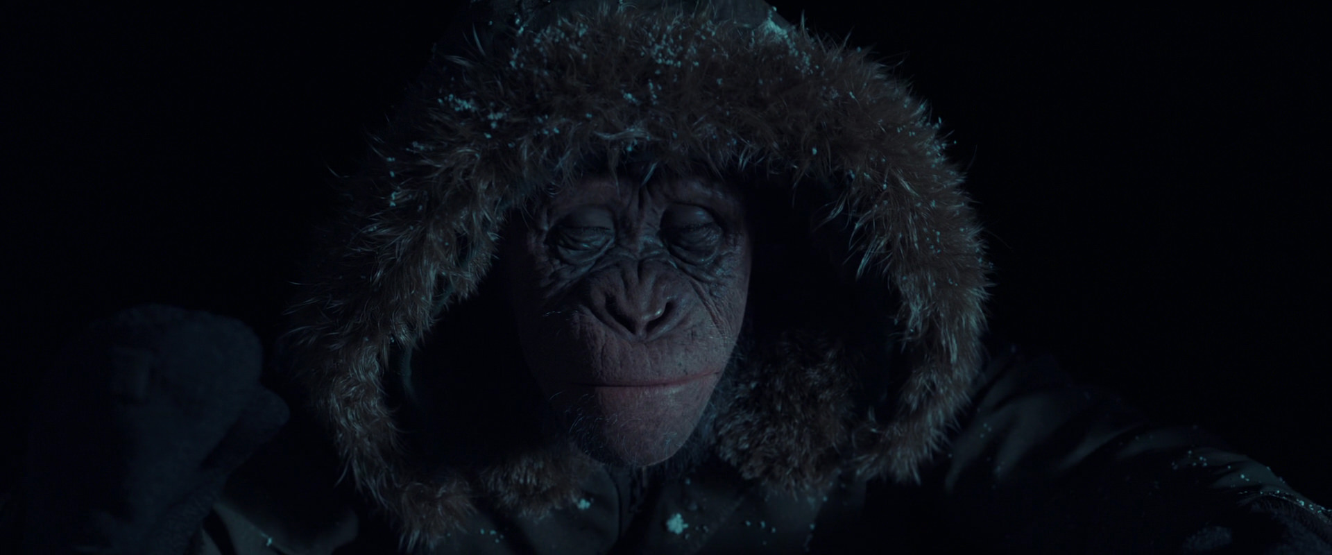 War for the Planet of the Apes (2017) movie still 5374
