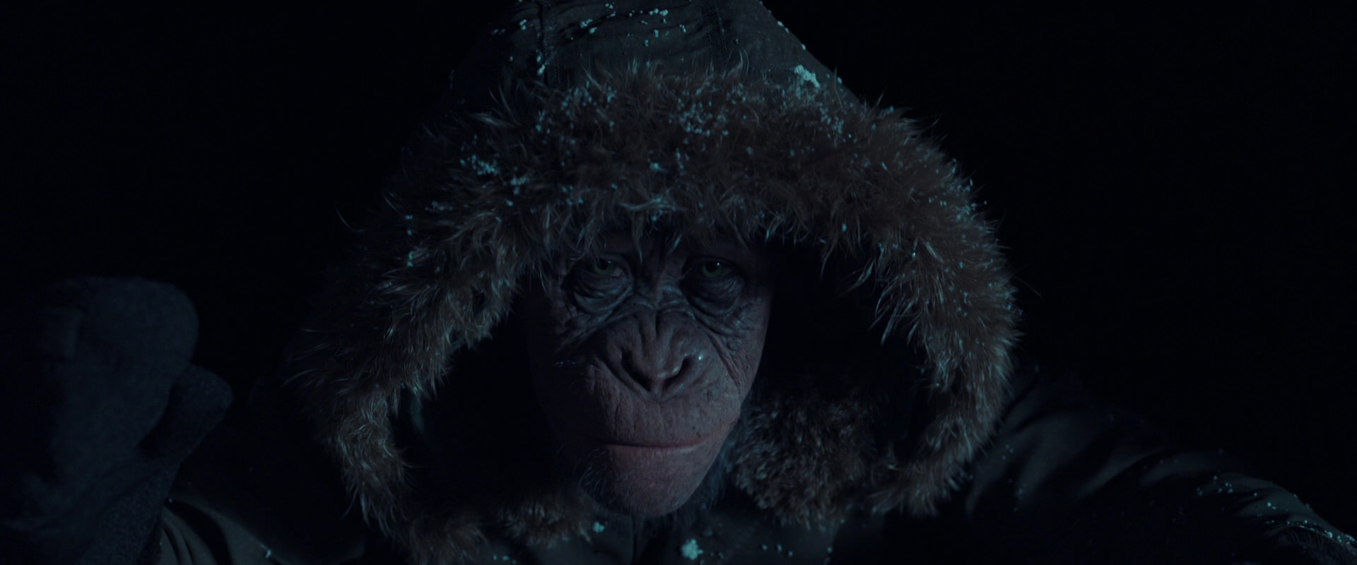 War for the Planet of the Apes (2017) HD screenshot 5375