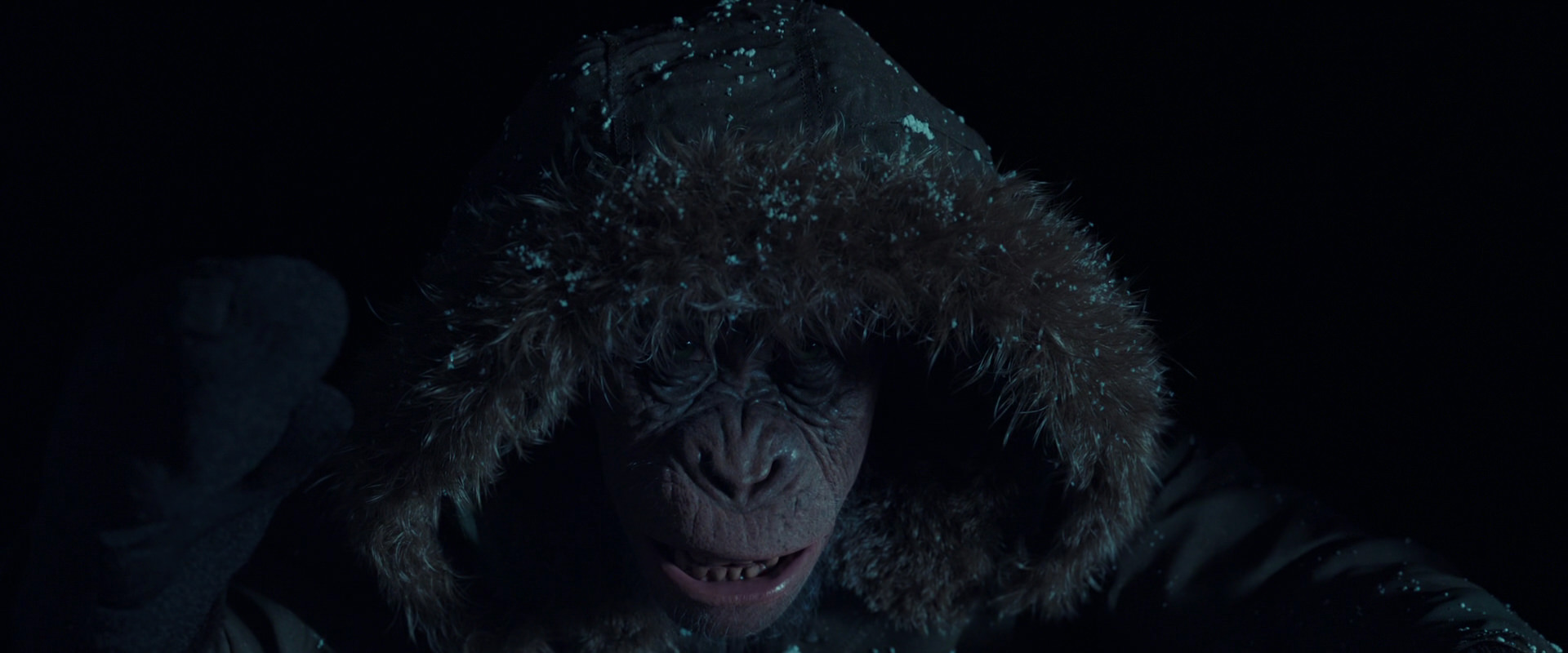 War for the Planet of the Apes (2017) screencap 5379